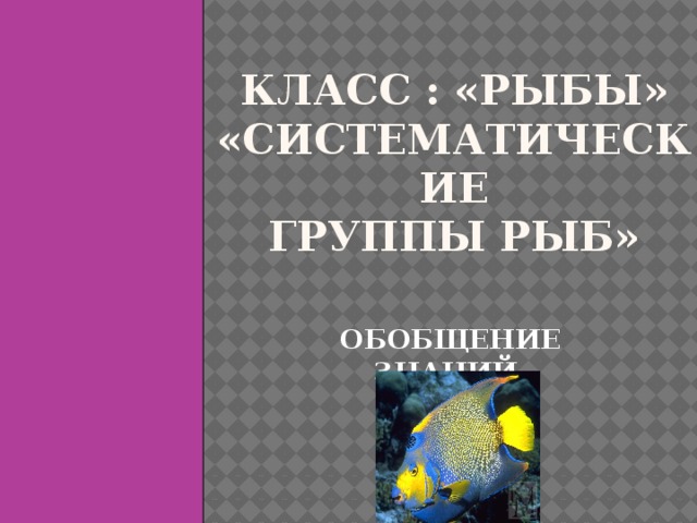 Основные систематические группы рыб презентация 7 класс