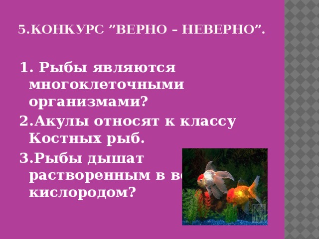 Верный конкурс