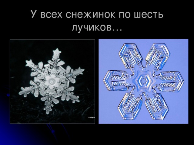 Сколько лучей у снежинки. Лучи снежинки. Снежинка 6 лучей. Лучик и Снежинка.