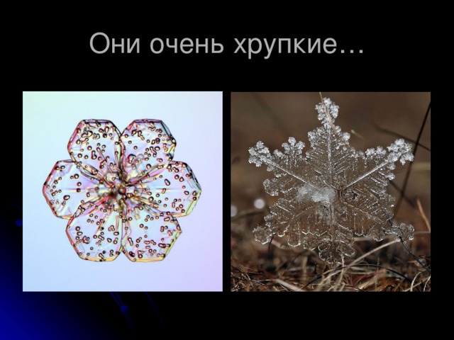 Они очень хрупкие… 