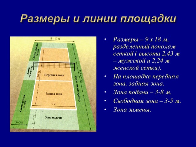 Следующая зона. Переднюю и заднюю зоны площадки волейбольной площадки. Зона подачи. На площадке есть следующие игровые зоны:. Передняя зона и зона подачи.