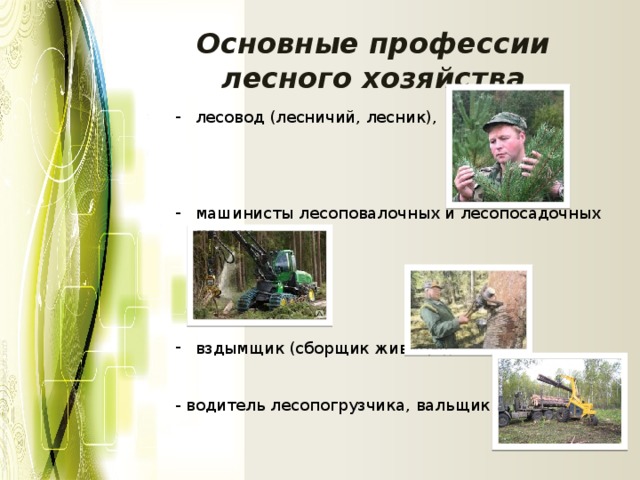 Основные профессии лесного хозяйства лесовод (лесничий, лесник), машинисты лесоповалочных и лесопосадочных машин, вздымщик (сборщик живицы), - водитель лесопогрузчика, вальщик леса и др. 