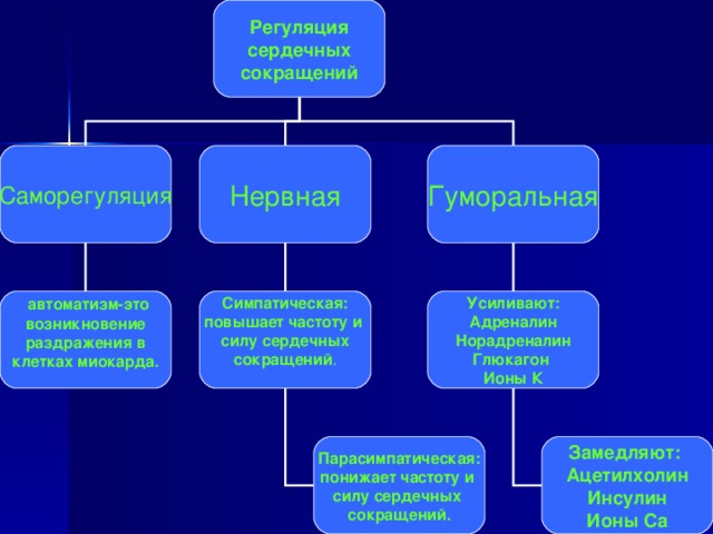 Регуляция  сердечных сокращений Гуморальная Саморегуляция Нервная Усиливают: Адреналин Норадреналин Глюкагон Ионы К Симпатическая: повышает частоту и силу сердечных сокращений .  автоматизм-это возникновение  раздражения в клетках миокарда.  Замедляют: Ацетилхолин Инсулин Ионы Ca Парасимпатическая: понижает частоту и силу сердечных сокращений. 