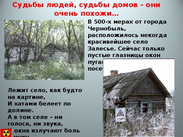 Судьбы людей, судьбы домов - они очень похожи… В 500-х мерах от города Чернобыль, расположилось некогда красивейшее село Залесье. Сейчас только пустые глазницы окон пугают редких заезжих посетителей. Лежит село, как будто на картине,  И хатами белеет по долине.  А в том селе – ни голоса, ни звука,  И окна излучают боль и муку.   