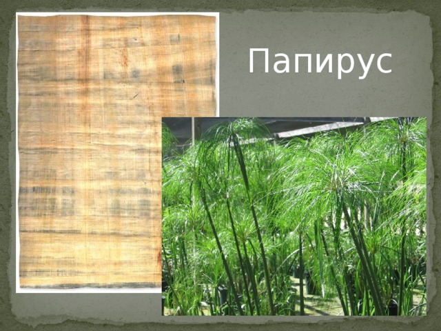 Папирус 