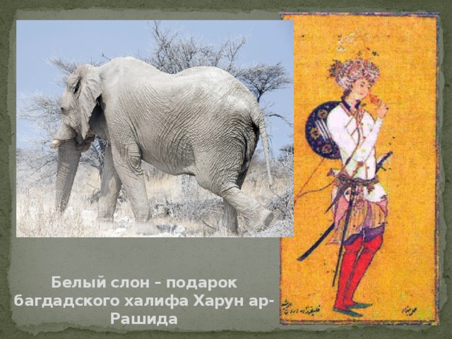 Белый слон – подарок багдадского халифа Харун ар-Рашида 