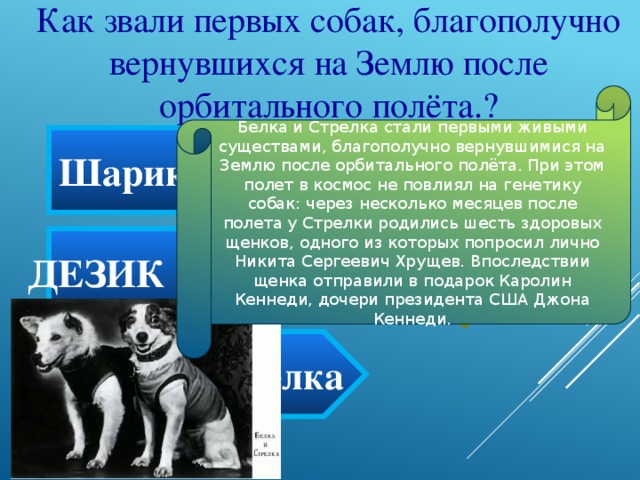 Как звали первых собак, благополучно вернувшихся на Землю после орбитального полёта.? Белка и Стрелка стали первыми живыми существами, благополучно вернувшимися на Землю после орбитального полёта. При этом полет в космос не повлиял на генетику собак: через несколько месяцев после полета у Стрелки родились шесть здоровых щенков, одного из которых попросил лично Никита Сергеевич Хрущев. Впоследствии щенка отправили в подарок Каролин Кеннеди, дочери президента США Джона Кеннеди. Шарик и Бобик Дезик и Цыган Белка и Стрелка 