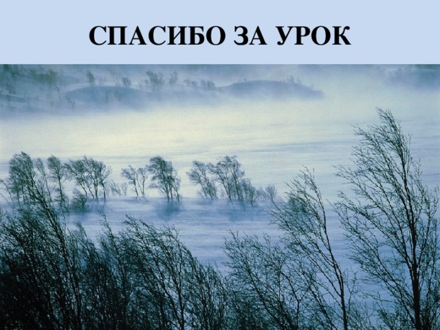 СПАСИБО ЗА УРОК 