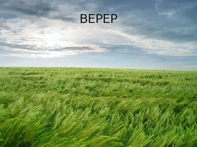 ВЕРЕР 