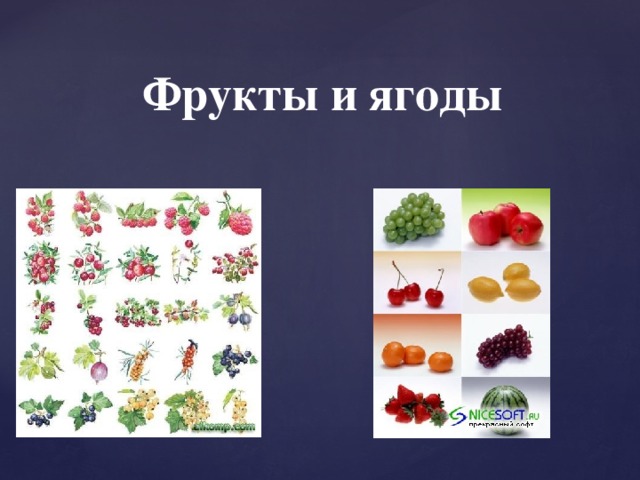 Фрукты и ягоды 