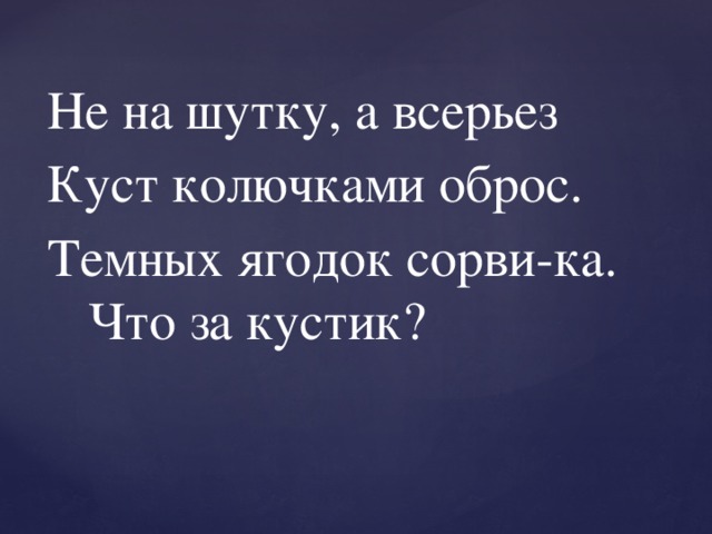 Не на шутку, а всерьез Куст колючками оброс. Темных ягодок сорви-ка.  Что за кустик? 