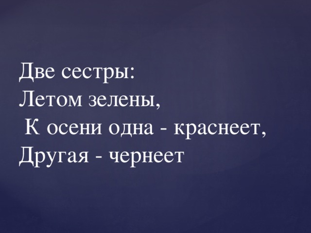 Две сестры:   Летом зелены,   К осени одна - краснеет,   Другая - чернеет 