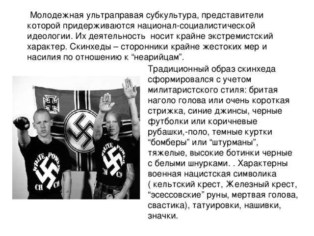 Ультраправая партия это. Ультраправая субкультура. Экстремистские молодежные субкультуры.