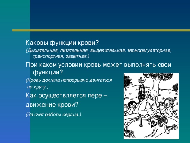 Каковы функции крови? (Дыхательная, питательная, выделительная, терморегуляторная, транспортная, защитная.) При каком условии кровь может выполнять свои функции? (Кровь должна непрерывно двигаться  по кругу.) Как осуществляется пере – движение крови? (За счет работы сердца.)  