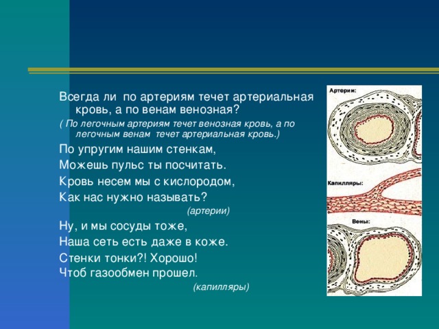 Презентация к уроку биологии на тему Внутренняя среда организма. Кровеносная и лимфатическая системы. Круги кровообращения