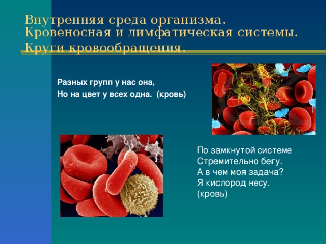 Внутренняя среда организма. Кровеносная и лимфатическая системы. Круги кровообращения.    Разных групп у нас она,  Но на цвет у всех одна. (кровь) По замкнутой системе    Стремительно бегу. А в чем моя задача?  Я кислород несу.  (кровь) 