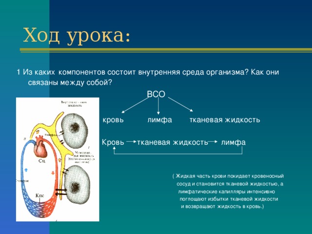 Ход урока: 1 Из каких  компонентов состоит внутренняя среда организма? Как они связаны между собой?  ВСО  кровь лимфа тканевая жидкость  Кровь тканевая жидкость лимфа  ( Жидкая часть крови покидает кровеносный  сосуд и становится тканевой жидкостью, а  лимфатические капилляры интенсивно  поглощают избытки тканевой жидкости  и возвращают жидкость в кровь.) 