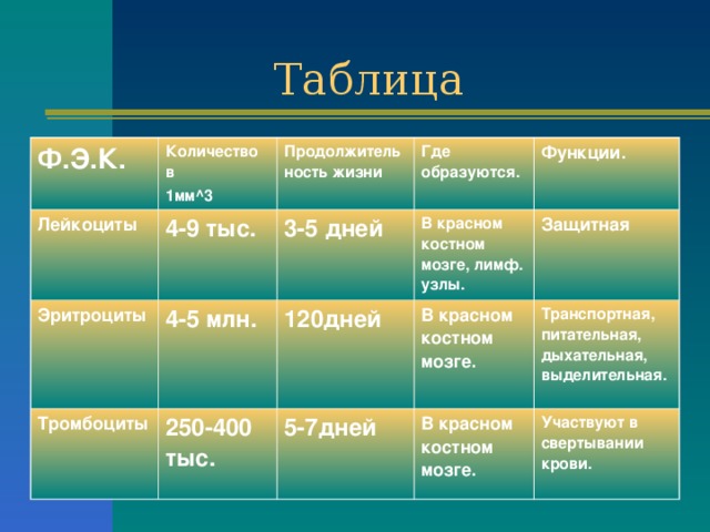 Таблица Ф.Э.К. Количество в 1мм ^3 Лейкоциты Продолжительность жизни 4-9 тыс. Эритроциты Где образуются. 4-5 млн. 3-5 дней Тромбоциты В красном костном мозге, лимф. узлы. 250-400 тыс. Функции. 120дней В красном костном мозге. 5-7дней Защитная Транспортная, питательная, дыхательная, выделительная. В красном костном мозге. Участвуют в свертывании крови. 