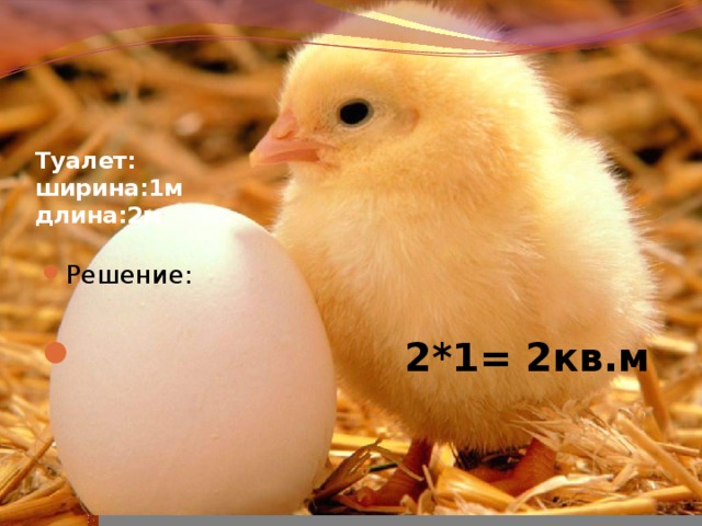 Туалет:  ширина:1м  длина:2м Решение:  2*1= 2кв.м 