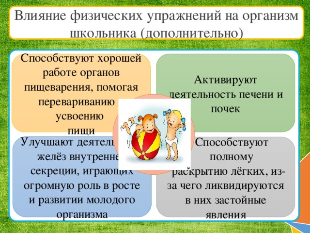 Влияние физических упражнений на организм человека проект