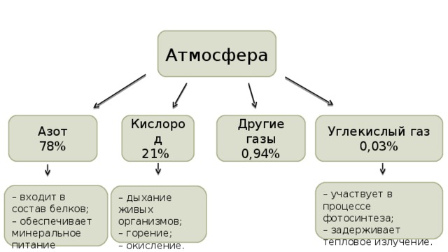 Атмосфера Другие газы 0,94% Углекислый газ 0,03% Кислород 21% Азот 78% – участвует в процессе фотосинтеза; – задерживает тепловое излучение. – входит в состав белков; – обеспечивает минеральное питание растений. – дыхание живых организмов; – горение; – окисление. 