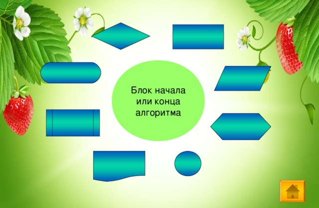 Блок начала  или конца алгоритма 