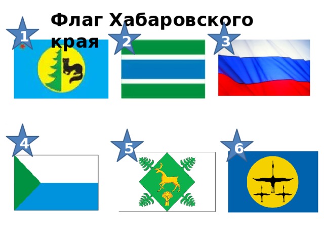 Края флаги. Флаг Хабаровского края. Флаг хаб края. Флаги городов Хабаровского края. Флаги районов Хабаровского края.