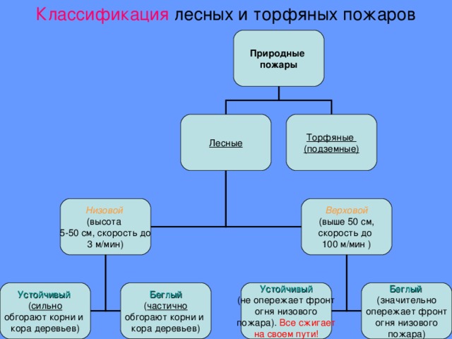 Схема лесных пожаров