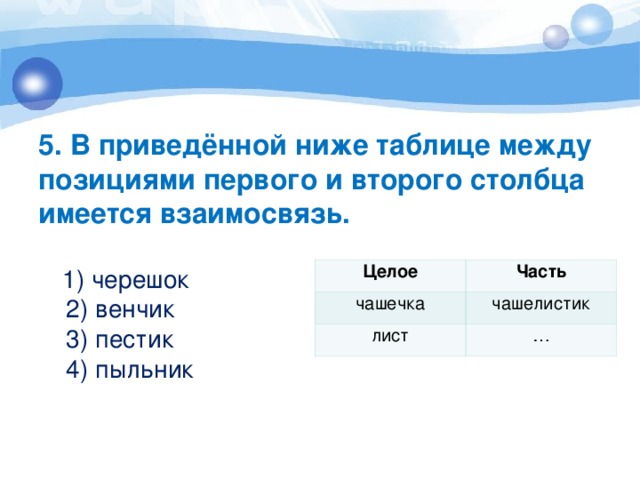 В приведенной ниже таблице между позициями первого