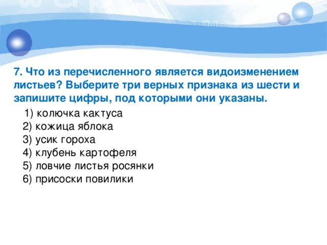 Укажите что из перечисленного является мозгом компьютера а микропроцессор б оперативная память