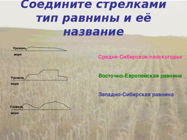 Презентация по окружающему миру "Моря, озёра и реки России"