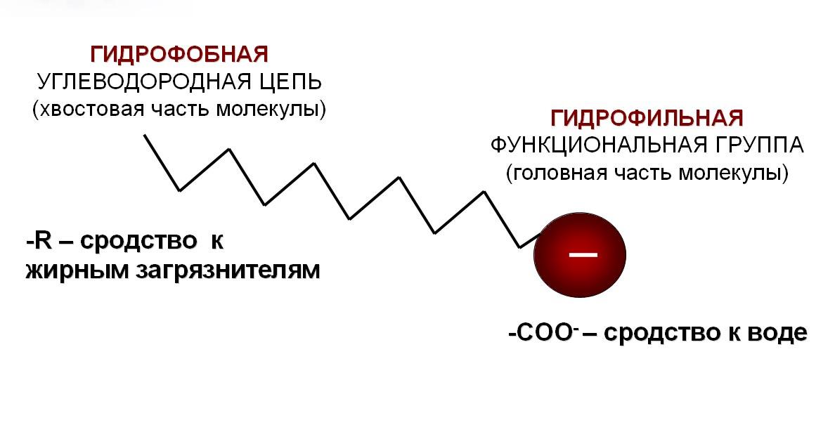 Почему мыло моет проект по химии