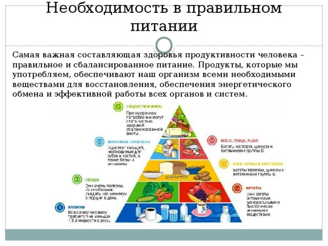 Необходимость в правильном питании  Самая важная составляющая здоровья продуктивности человека – правильное и сбалансированное питание. Продукты, которые мы употребляем, обеспечивают наш организм всеми необходимыми веществами для восстановления, обеспечения энергетического обмена и эффективной работы всех органов и систем.   