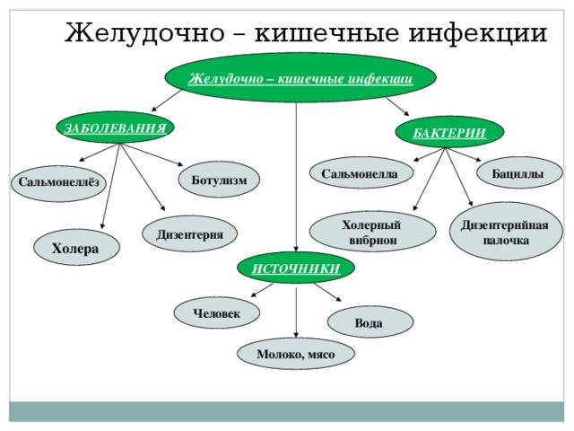 Желудочно – кишечные инфекции Желудочно – кишечные инфекции ЗАБОЛЕВАНИЯ БАКТЕРИИ Сальмонелла  Бациллы  Ботулизм  Сальмонеллёз Дизентерийная палочка Холерный вибрион Дизентерия Холера ИСТОЧНИКИ Человек Вода  Молоко, мясо 