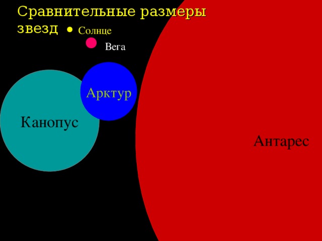 Антарес Сравнительные размеры звезд Солнце Вега Арктур Канопус 