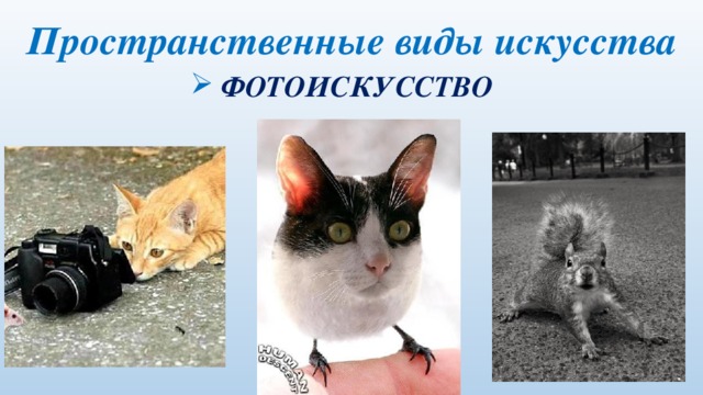 Пространственные виды искусства  ФОТОИСКУССТВО 