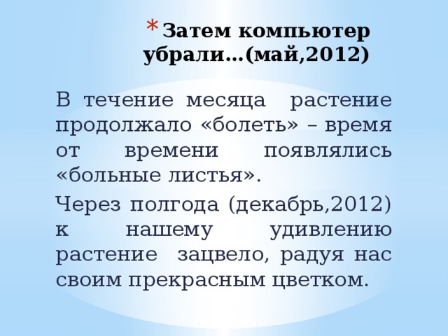 Затем компьютер убрали…(май,2012) В течение месяца растение продолжало «болеть» – время от времени появлялись «больные листья». Через полгода (декабрь,2012) к нашему удивлению растение зацвело, радуя нас своим прекрасным цветком. 