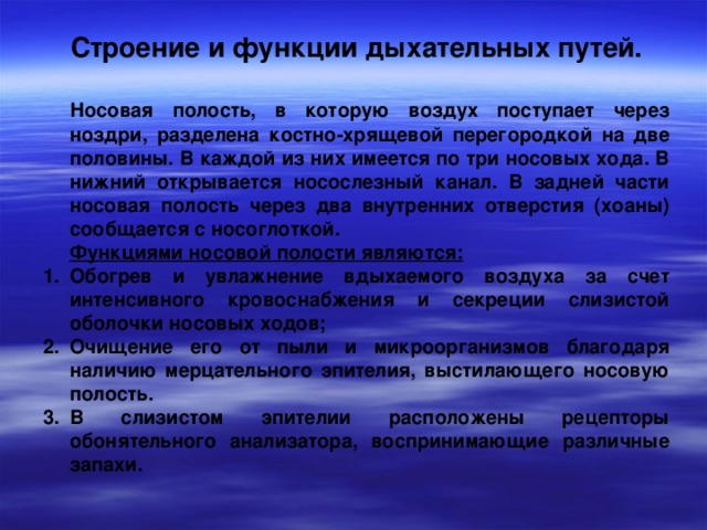 Строение и функции дыхательных путей.   Носовая полость, в которую воздух поступает через ноздри, разделена костно-хрящевой перегородкой на две половины. В каждой из них имеется по три носовых хода. В нижний открывается носослезный канал. В задней части носовая полость через два внутренних отверстия (хоаны) сообщается с носоглоткой.  Функциями носовой полости являются: Обогрев и увлажнение вдыхаемого воздуха за счет интенсивного кровоснабжения и секреции слизистой оболочки носовых ходов; Очищение его от пыли и микроорганизмов благодаря наличию мерцательного эпителия, выстилающего носовую полость. В слизистом эпителии расположены рецепторы обонятельного анализатора, воспринимающие различные запахи.  