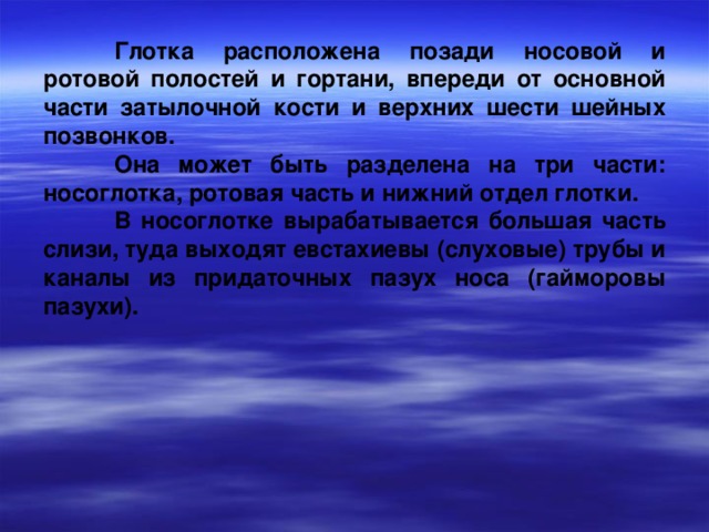  Глотка расположена позади носовой и ротовой полостей и гортани, впереди от основной части затылочной кости и верхних шести шейных позвонков.  Она может быть разделена на три части: носоглотка, ротовая часть и нижний отдел глотки.  В носоглотке вырабатывается большая часть слизи, туда выходят евстахиевы (слуховые) трубы и каналы из придаточных пазух носа (гайморовы пазухи). 