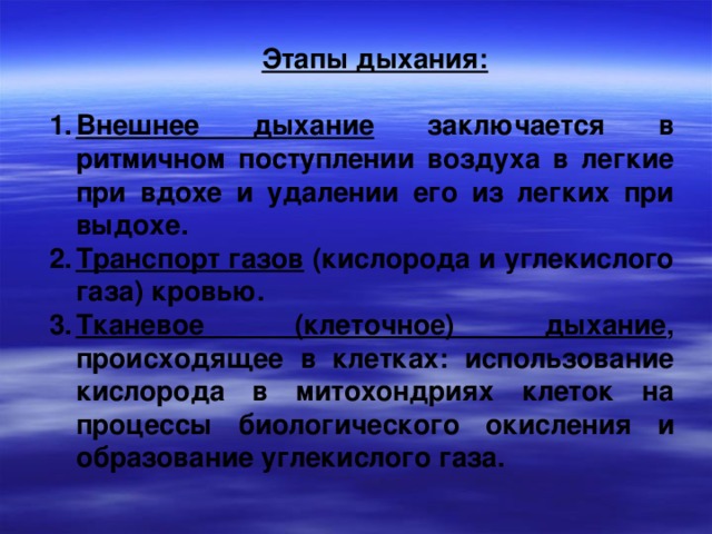  Этапы дыхания:  Внешнее дыхание заключается в ритмичном поступлении воздуха в легкие при вдохе и удалении его из легких при выдохе. Транспорт газов (кислорода и углекислого газа) кровью. Тканевое (клеточное) дыхание , происходящее в клетках: использование кислорода в митохондриях клеток на процессы биологического окисления и образование углекислого газа. 