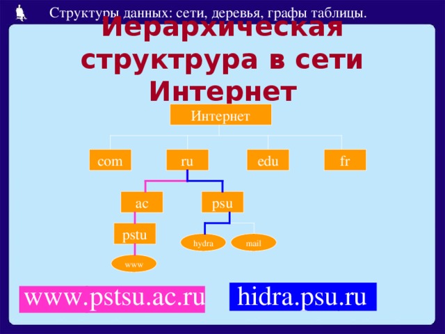 Иерархическая структрура в сети Интернет fr edu ru com ac psu pstu hydra mail www hidra.psu.ru www.pstsu.ac.ru 