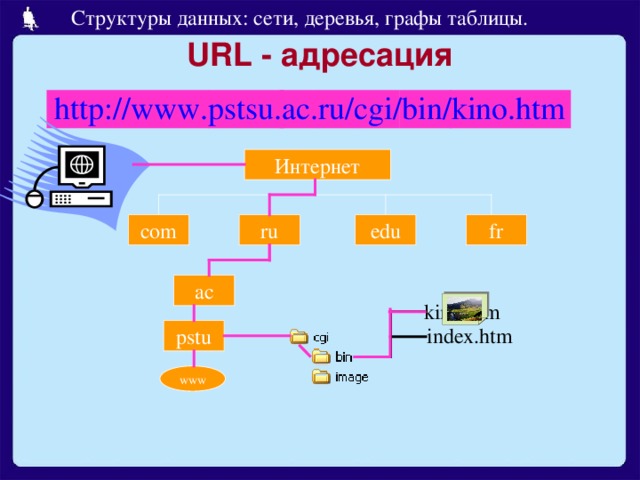 URL - адресация http://www.pstsu.ac.ru/cgi/bin/kino.htm ru fr com edu ac kino.htm index.htm pstu www 