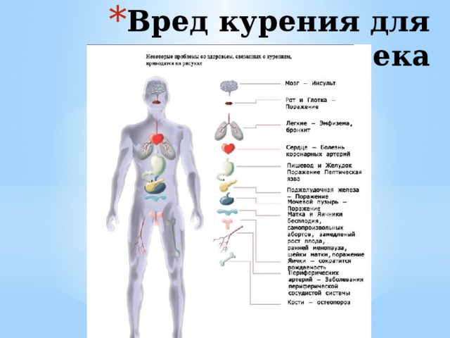 Вред курения для человека   