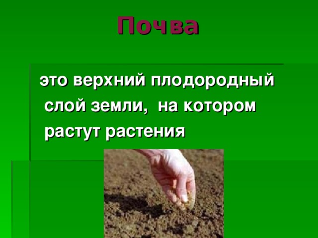 Почва     это верхний плодородный  слой земли, на котором  растут растения   
