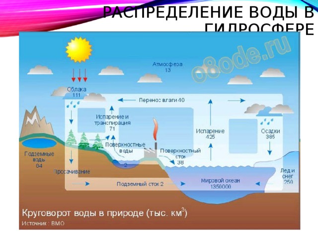 РАСПРЕДЕЛЕНИЕ ВОДЫ В ГИДРОСФЕРЕ 