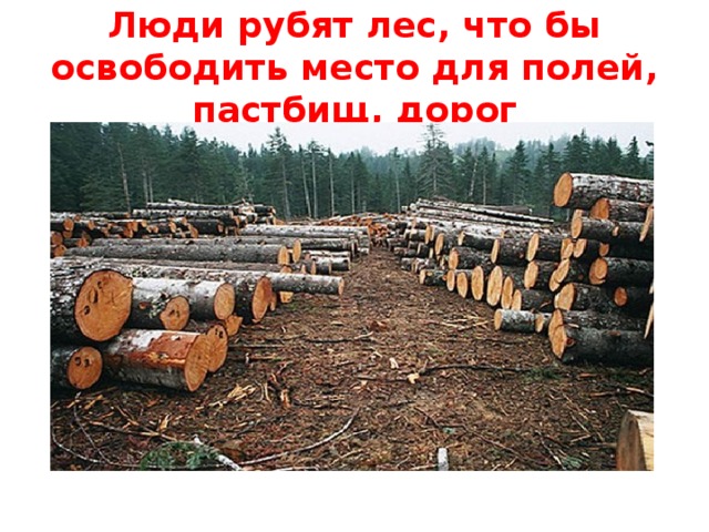 Зачем рубить. Лес рубят. Человек рубит лес. Люди рубят леса. Люди которые рубят лес.