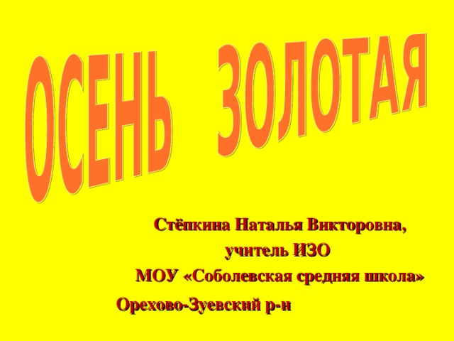 Стёпкина Наталья Викторовна, учитель ИЗО МОУ «Соболевская средняя школа»  Орехово-Зуевский р-н  