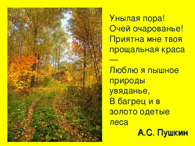  Унылая пора! Очей очарованье!  Приятна мне твоя прощальная краса —  Люблю я пышное природы увяданье,  В багрец и в золото одетые леса А.С. Пушкин 