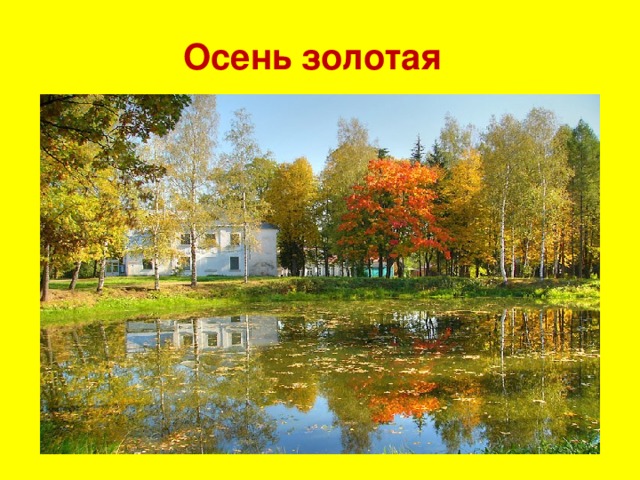 Осень золотая 