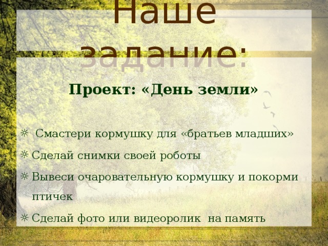 Проект день земли